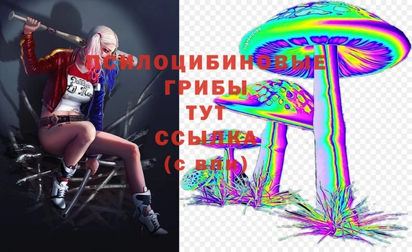 бутират Алзамай