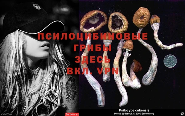 тгк Алексин