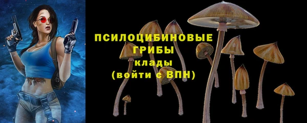 бутират Алзамай