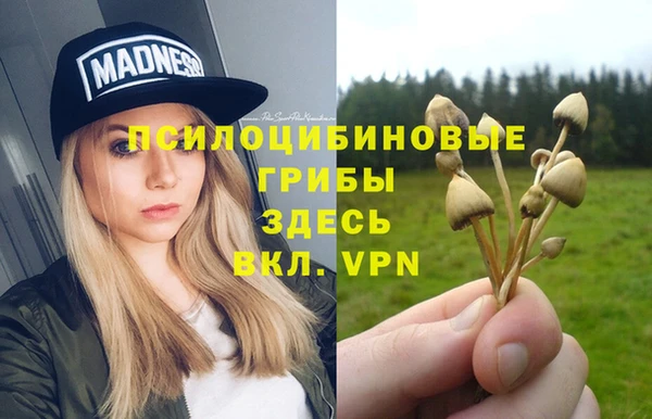 бутират Алзамай