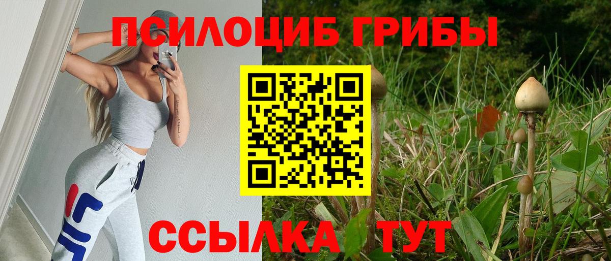 Галлюциногенные грибы ЛСД  Вход с VPN  Рубцовск 