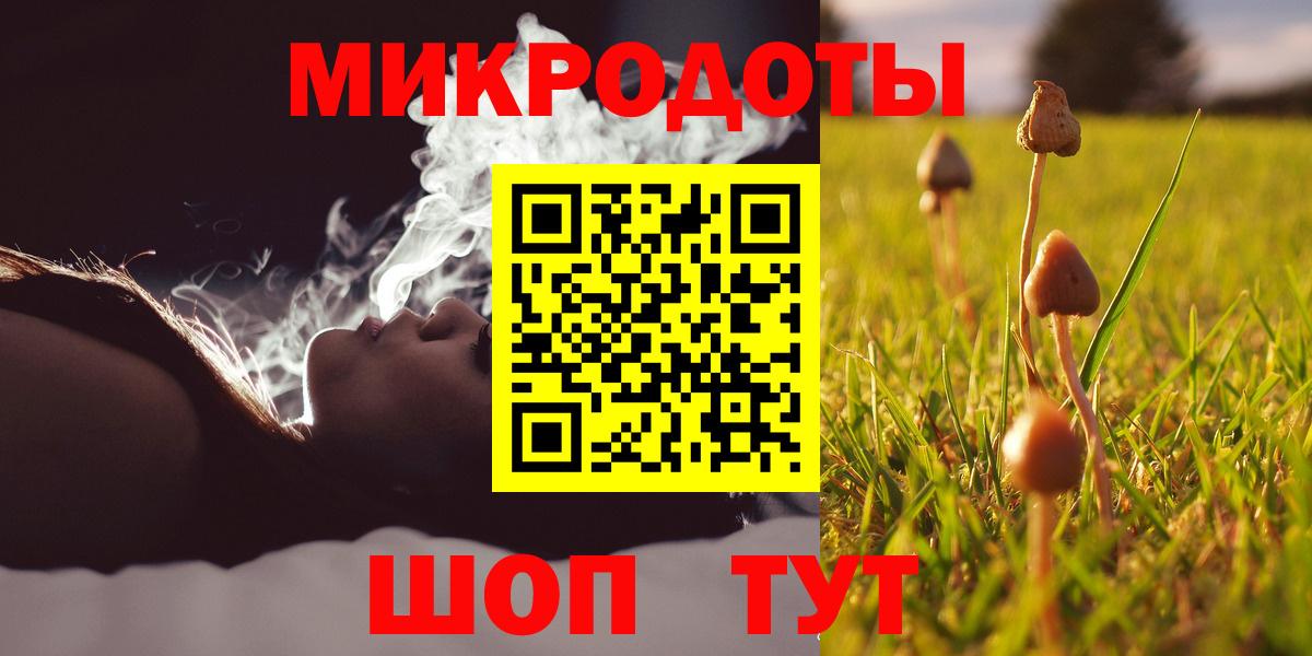Псилоцибиновые грибы Psilocybine cubensis Рубцовск